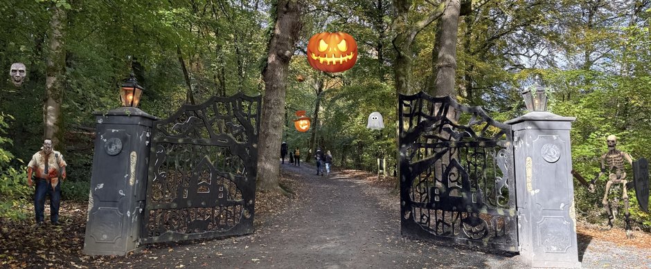 The Experience, Elevated: Bolton Abbey's Pumpkin Trail, Transformed Main Image