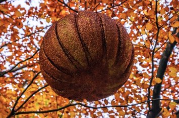 The Experience, Elevated: Bolton Abbey's Pumpkin Trail, Transformed Thumbnail